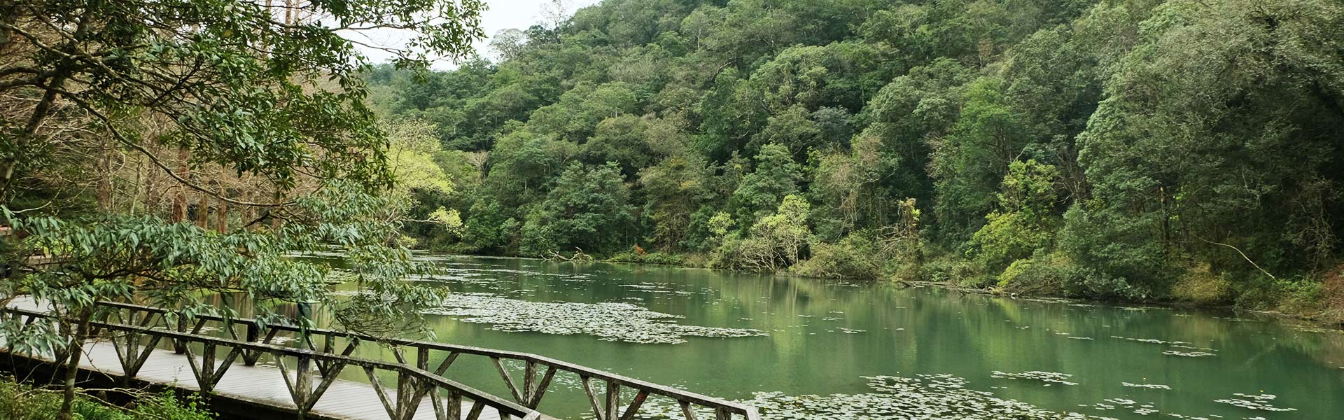 《六人成行》大地之肺．福山植物園一日輕健行