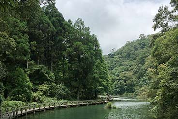 《六人成行》大地之肺．福山植物園一日輕健行