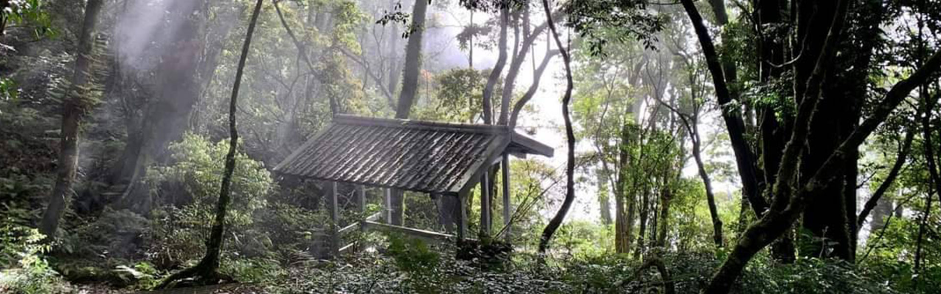 《南疆聖域》北大武山兩天一夜(高雄出發)