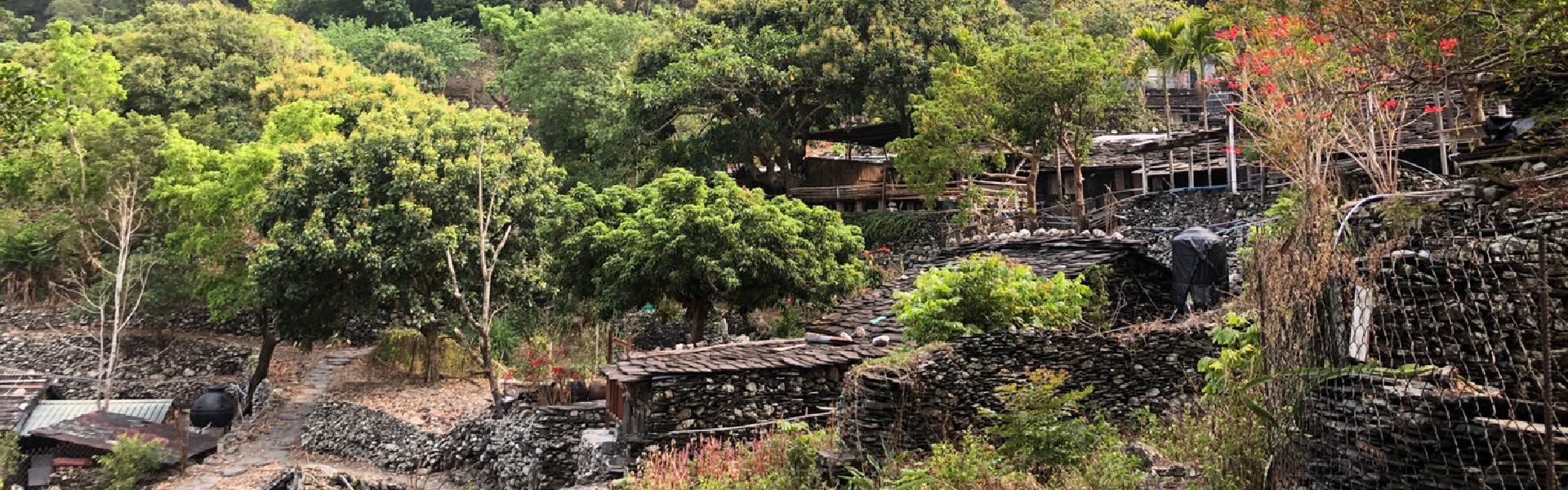 《山中石板夢》老七佳部落、禮納里好茶村深度二日遊 (高雄出發)