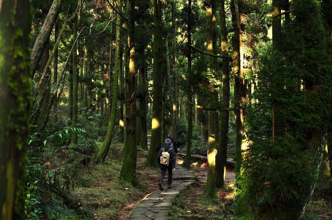 《寧靜公園》陽明山大縱走西段-山林的療癒一日健行