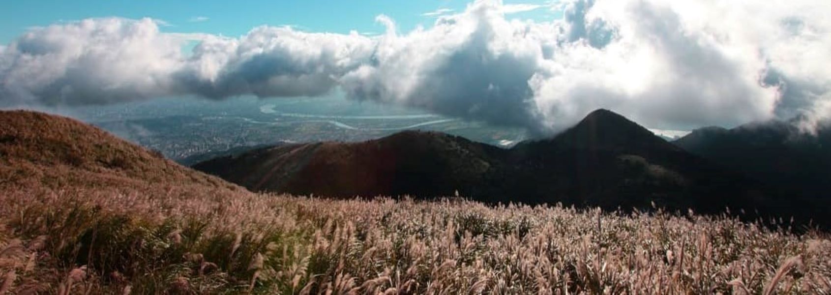 《寧靜公園》陽明山大縱走西段-山林的療癒一日健行