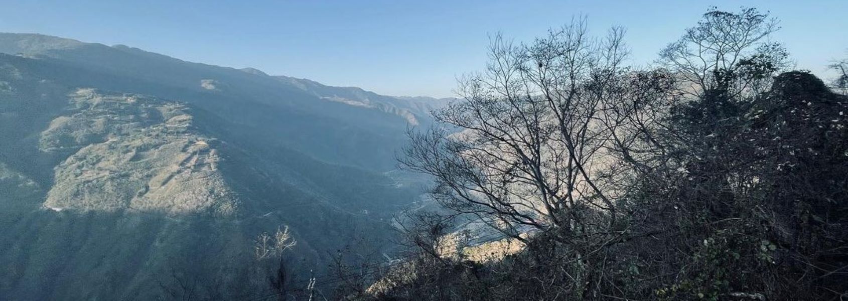 《迷霧森林》 新北第一高峰 魔幻樹之國 塔曼山 一日健行