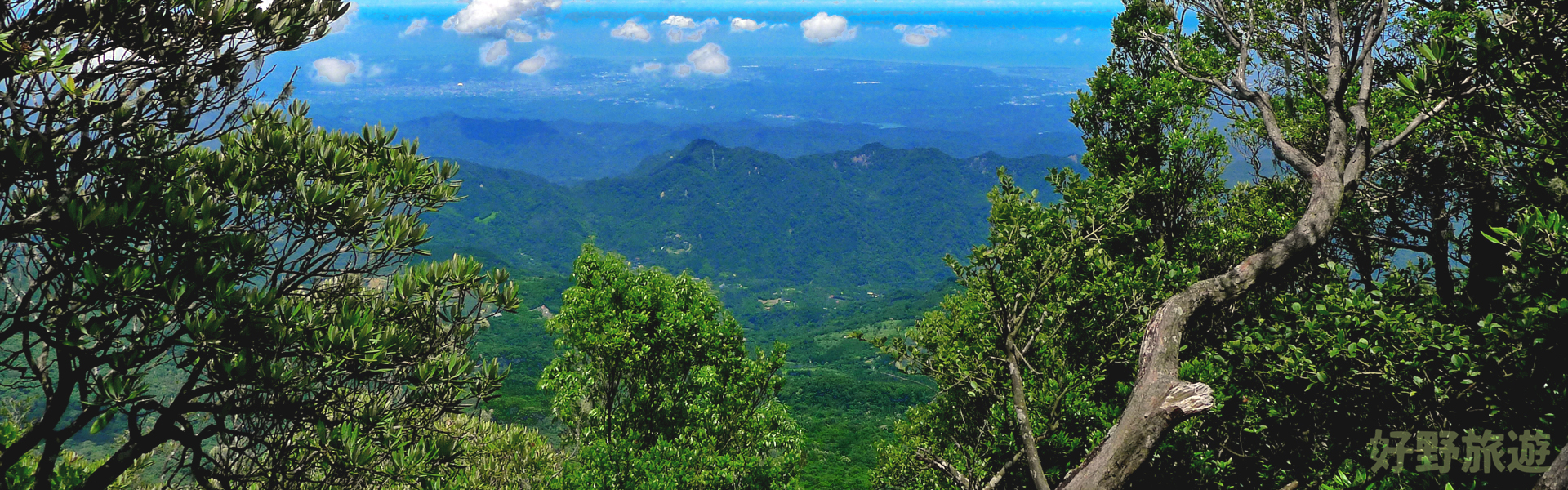 《認識山林》加里山柳杉林一日登山健行