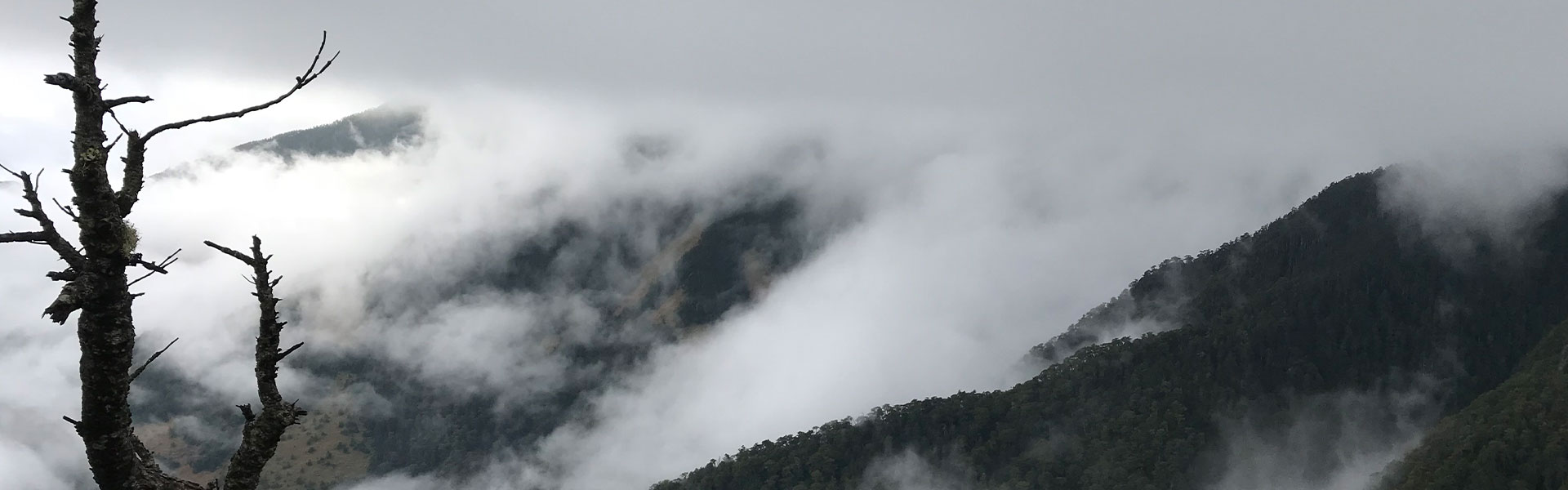 《雪山山脈》武陵二秀之桃山、喀拉業兩天兩夜