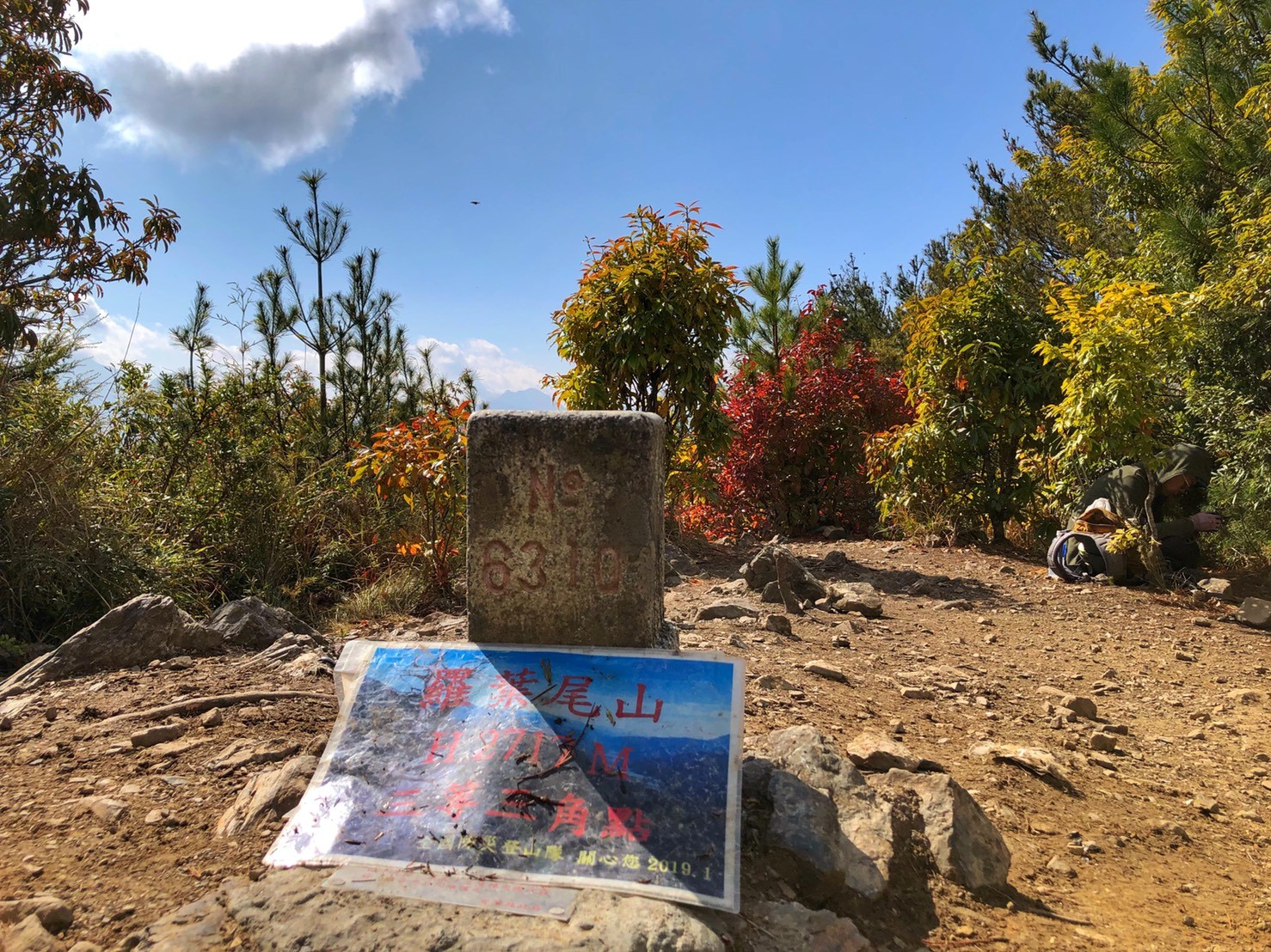 羅葉尾山