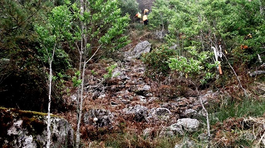 馬武佐野群山