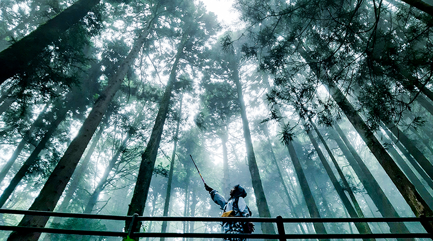 特富野古道