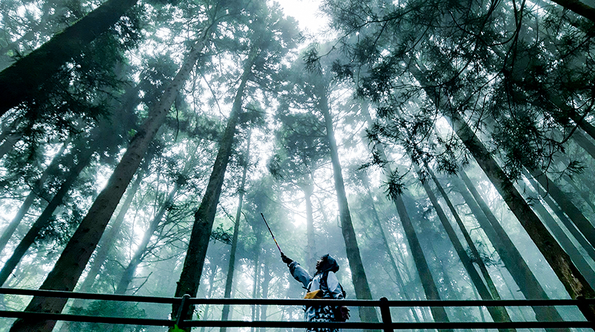 好野旅遊 | ★ 歷史故事 ★ 阿里山特富野古道＆八通關古道二日遊、好野旅遊 | 深度健行