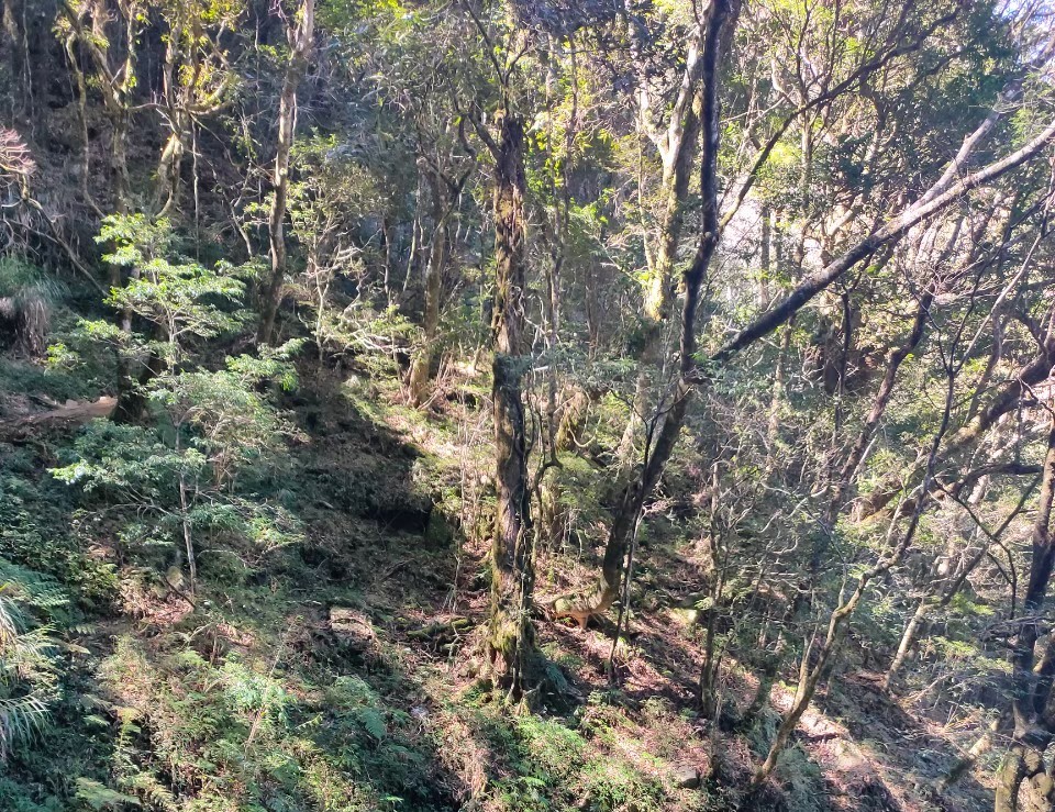 中之關古道