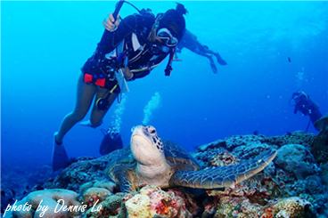 《海龜之島》小琉球二日快閃潛水團
